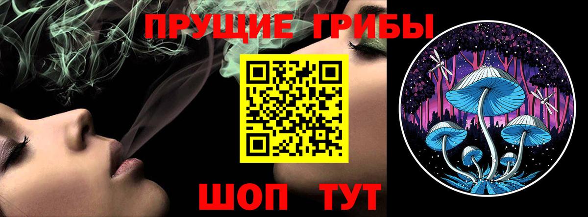 Чернушка  Галлюциногенные грибы мицелий  Вход с VPN  Галлюциногенные грибы MAGIC MUSHROOMS 