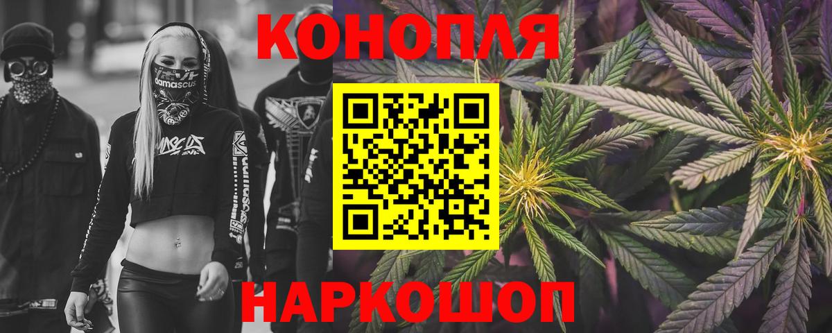 Марихуана сатива Чернушка